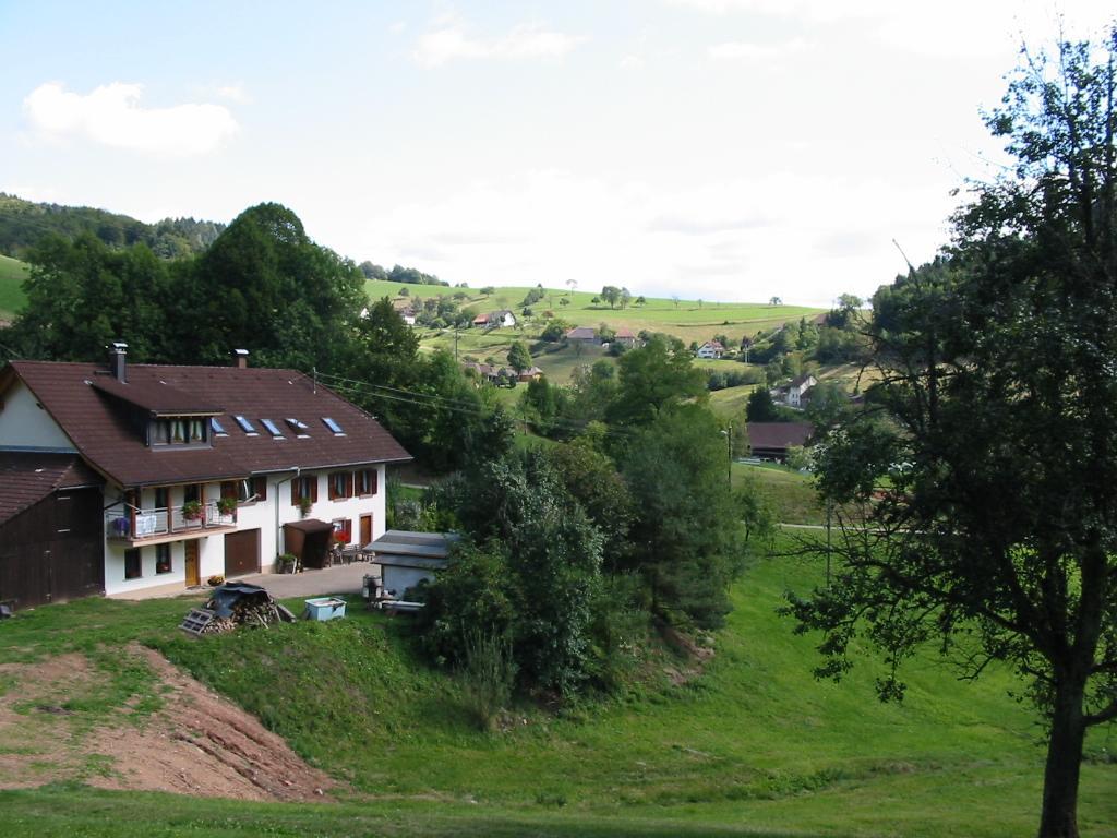Haus Am Eckle Apartment Kleines Wiesental Exterior photo